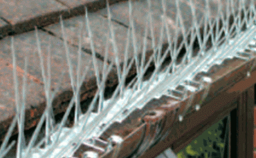 Aplicação em Caleira