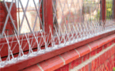 Aplicação em Parapeito